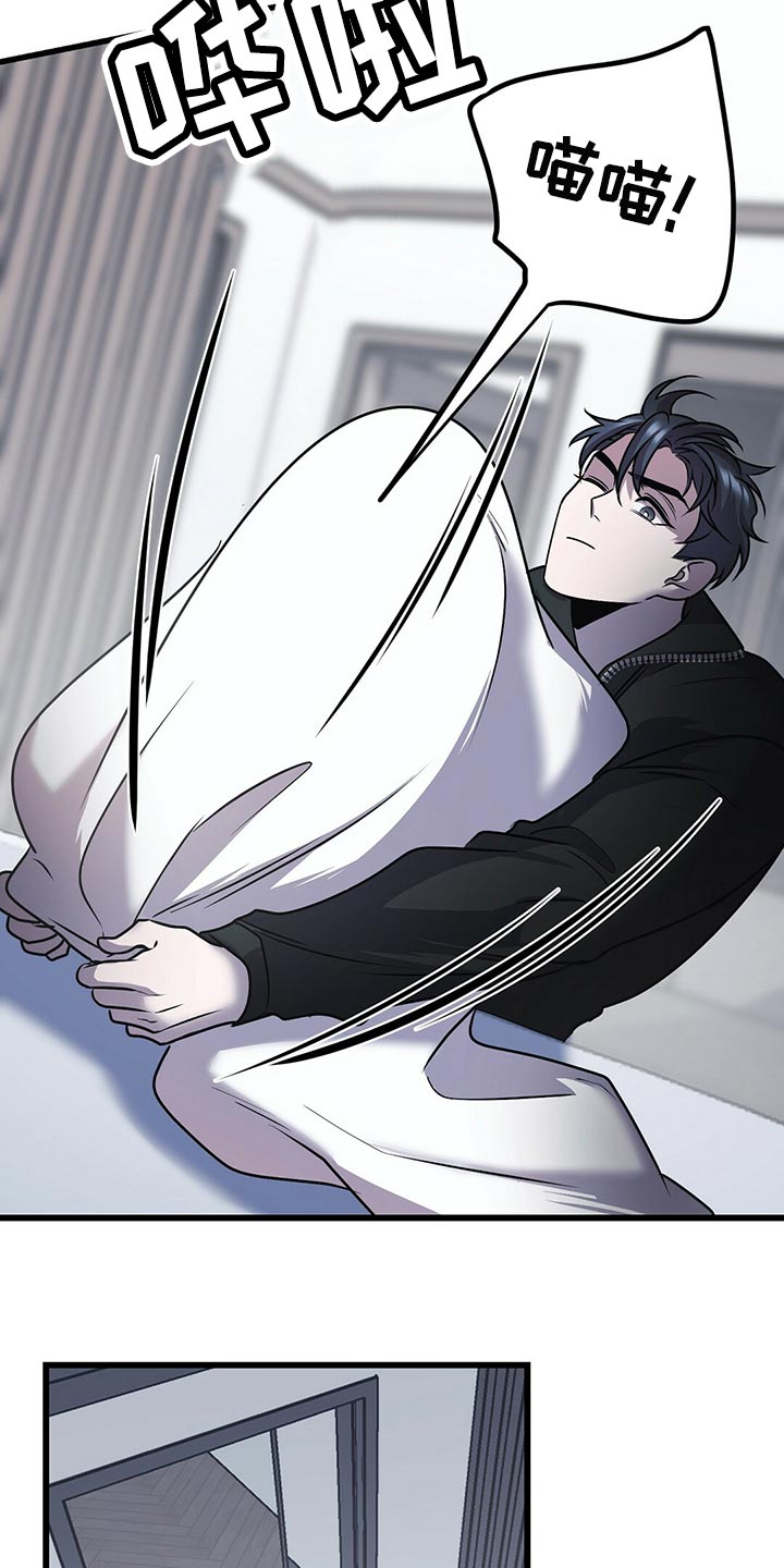 第29章：聪明的猫咪4