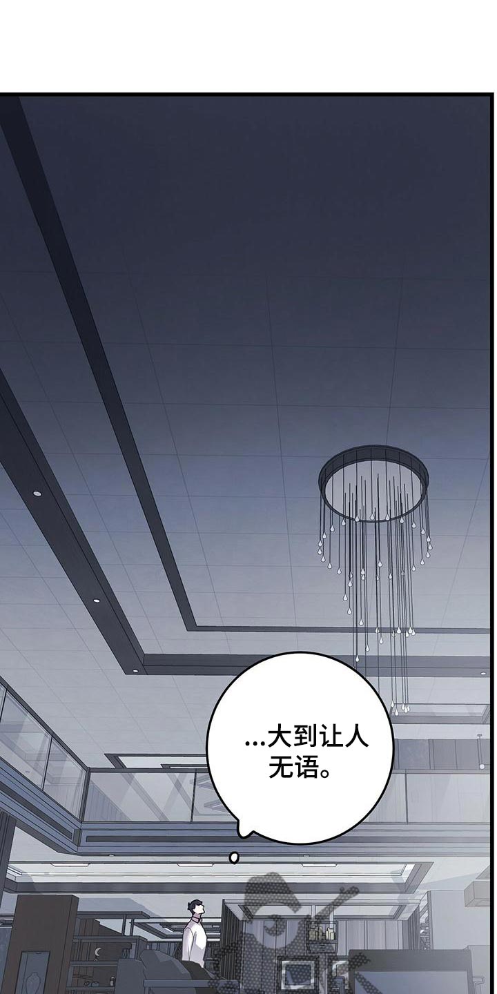 第45章：蛋白饼干0