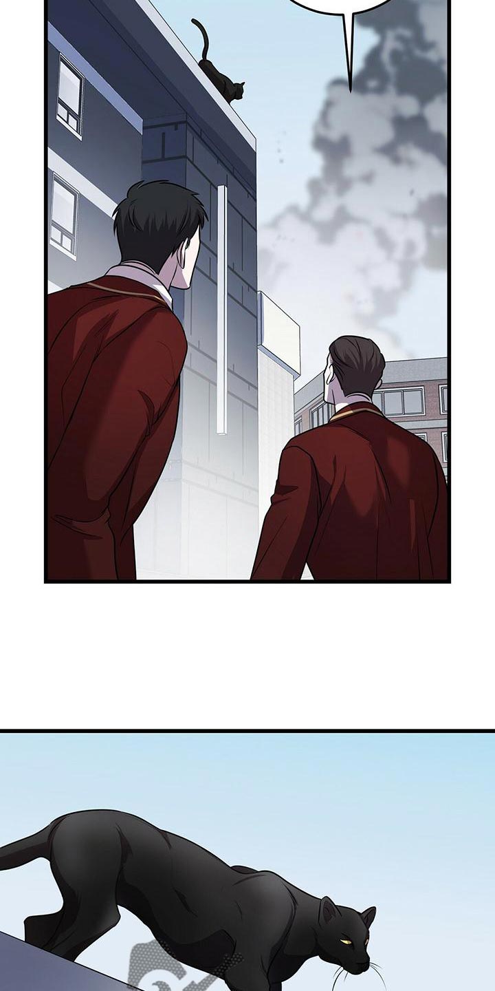 第51章：群体攻击3