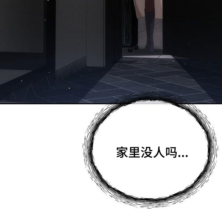 第1章：回来了0