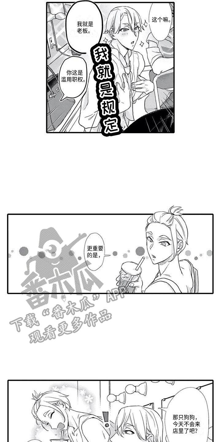 第13章：有些迷茫4