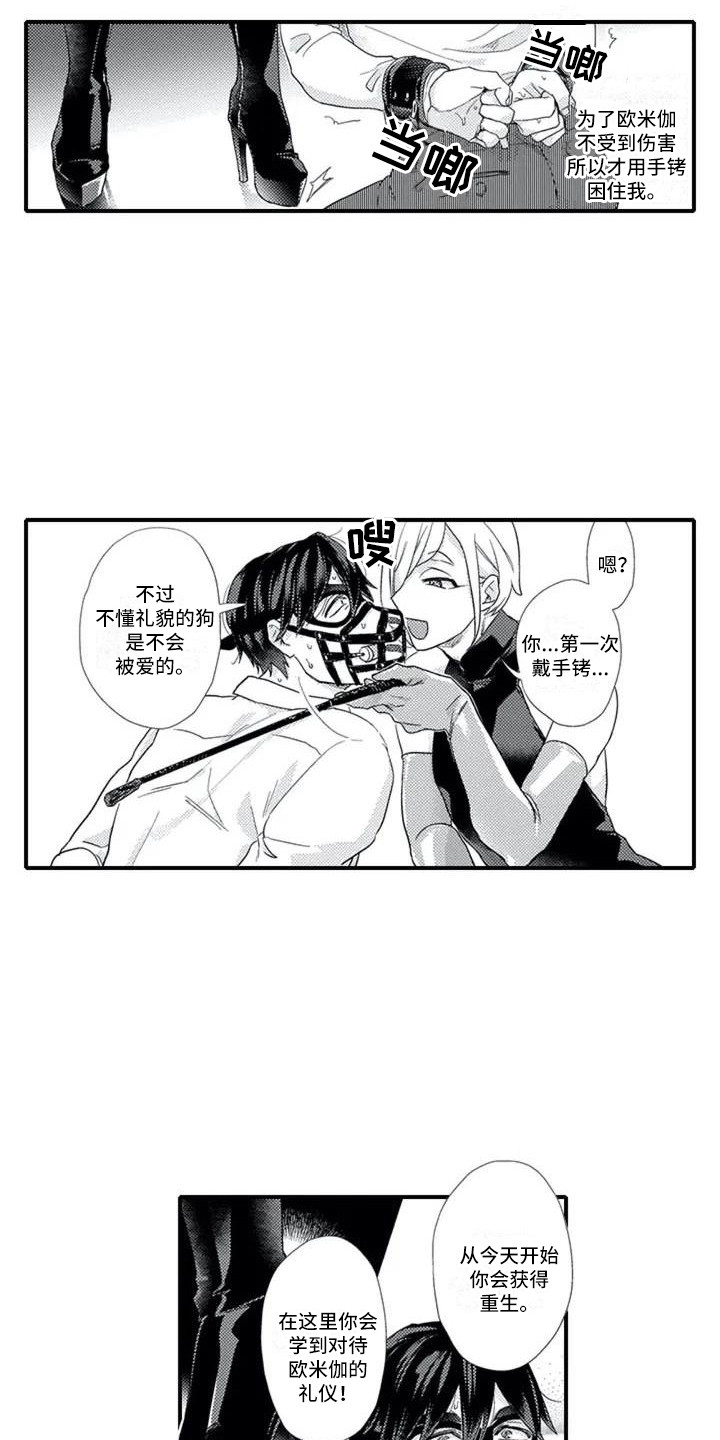 第3章：带回房间1