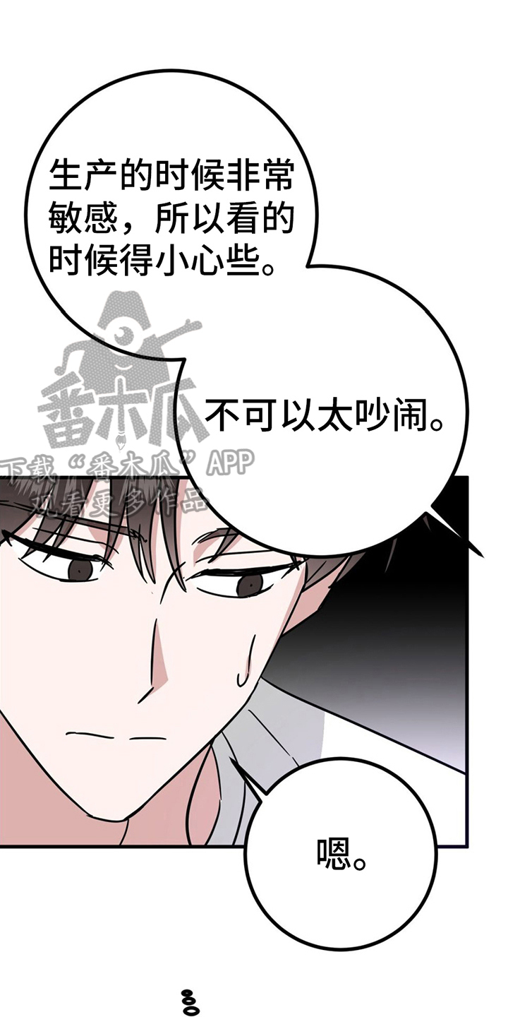 第17章：又被骗了0