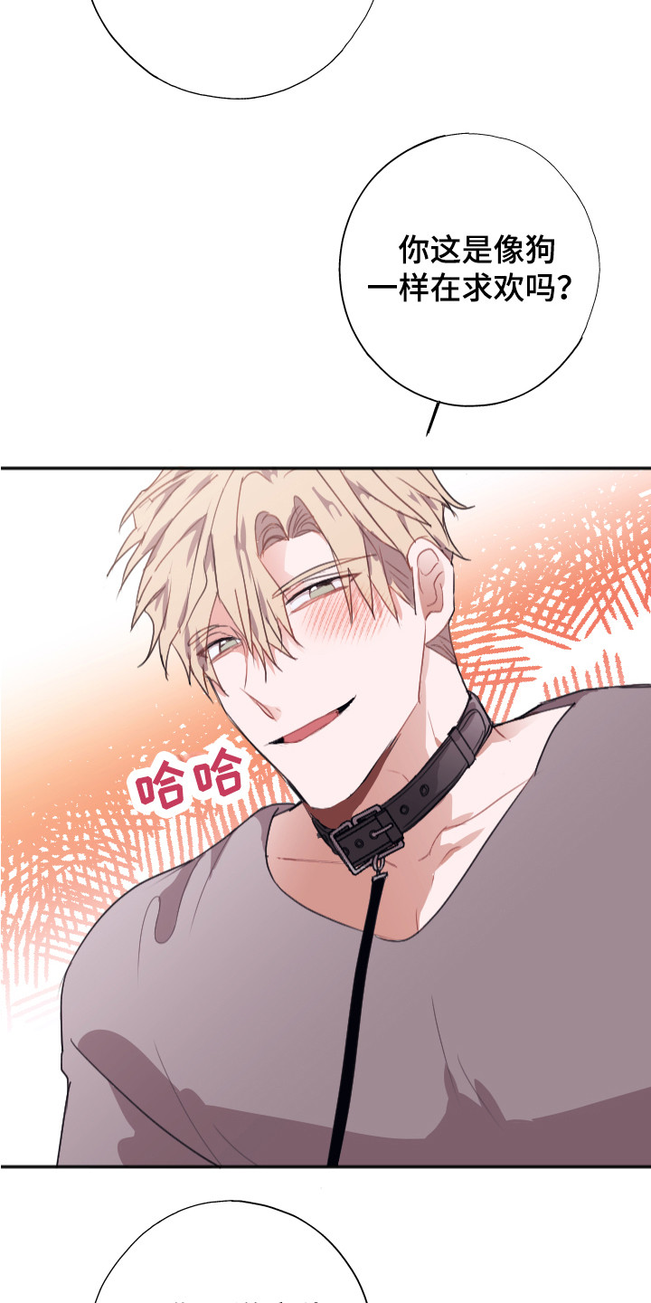 第14章：组成搭档（完结）1