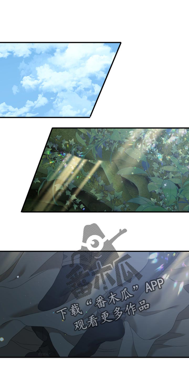 第66章：【第二季】观察周围0