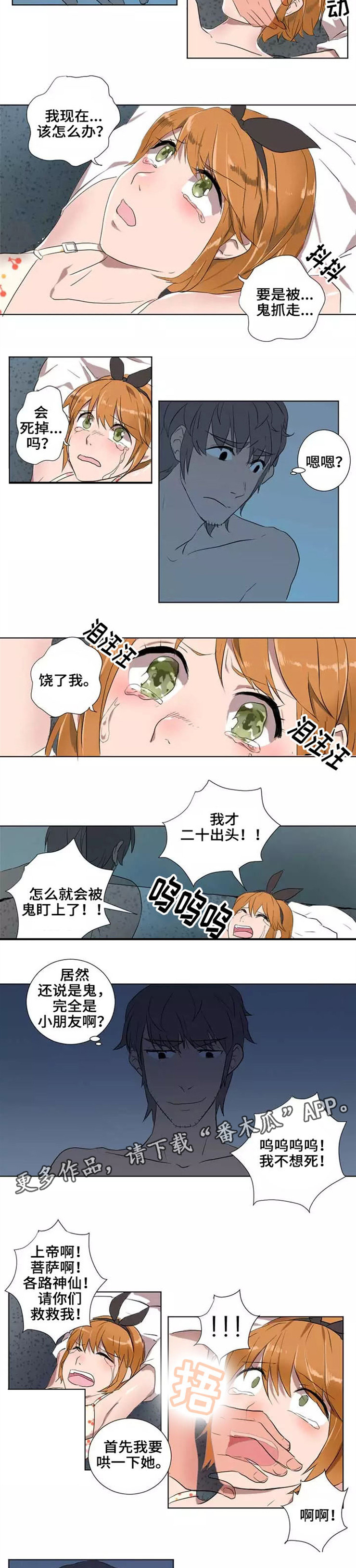 第8章：欺骗1