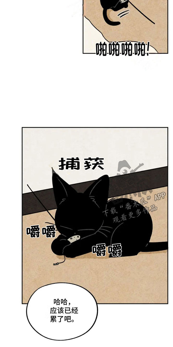 第87章：抵达3