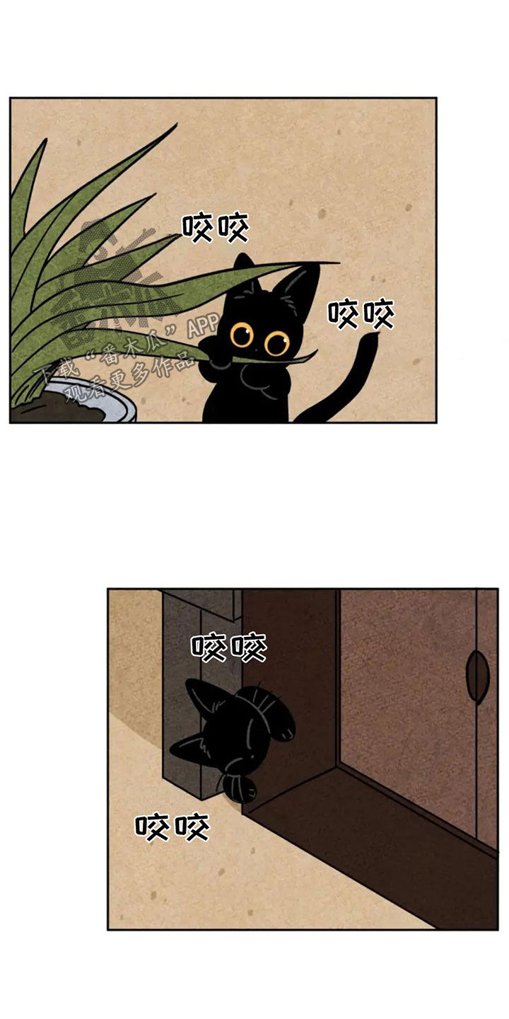 第88章：藏起来1