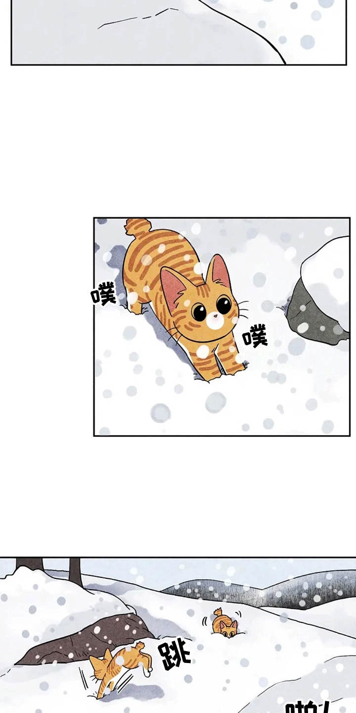 第61章：大橘1