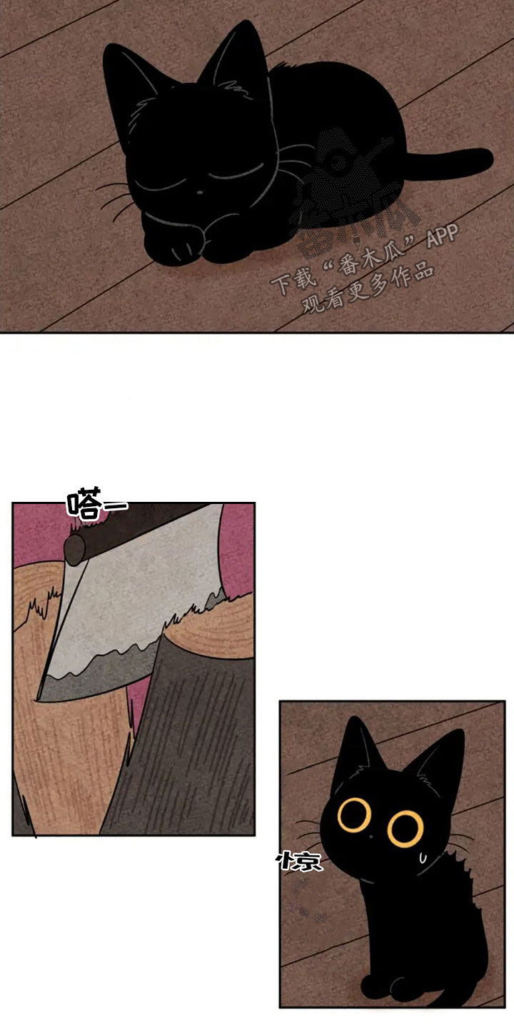 第80章：无辜2