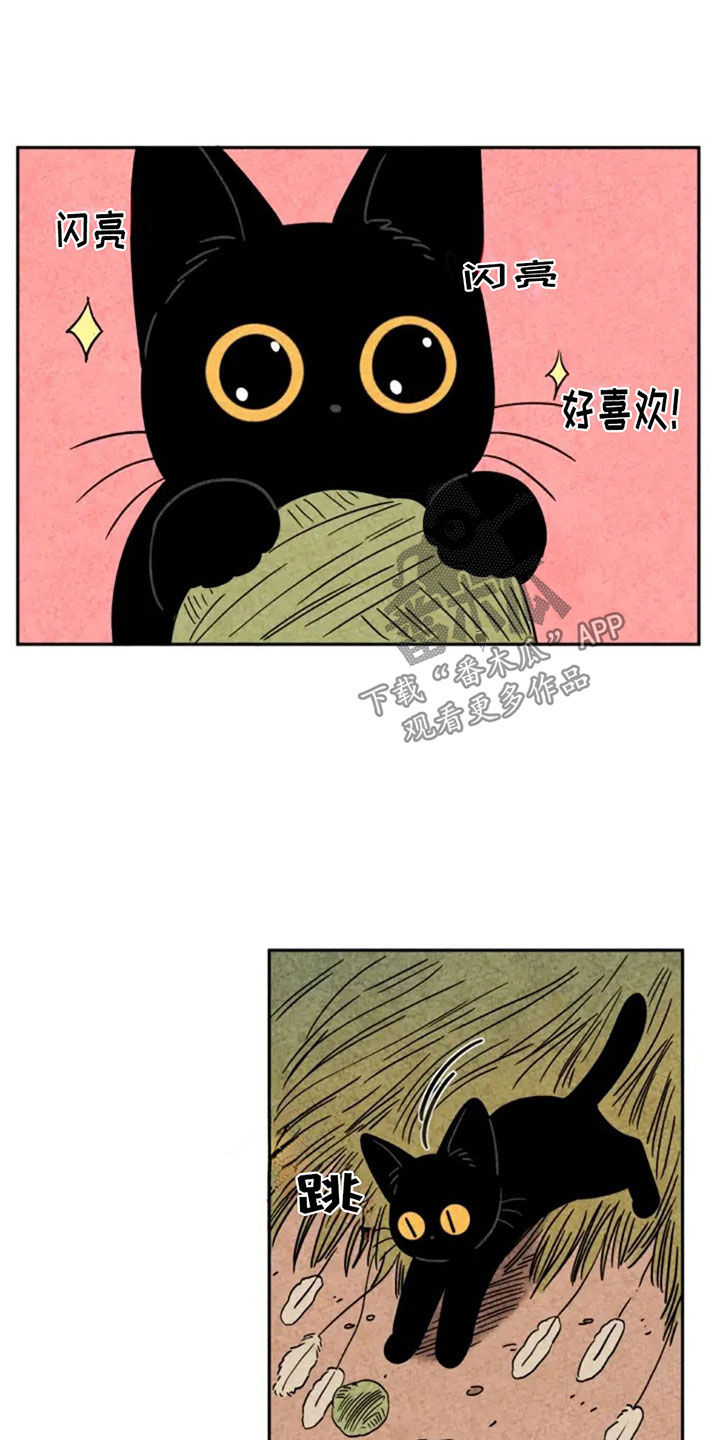 第81章：第一个冬天3