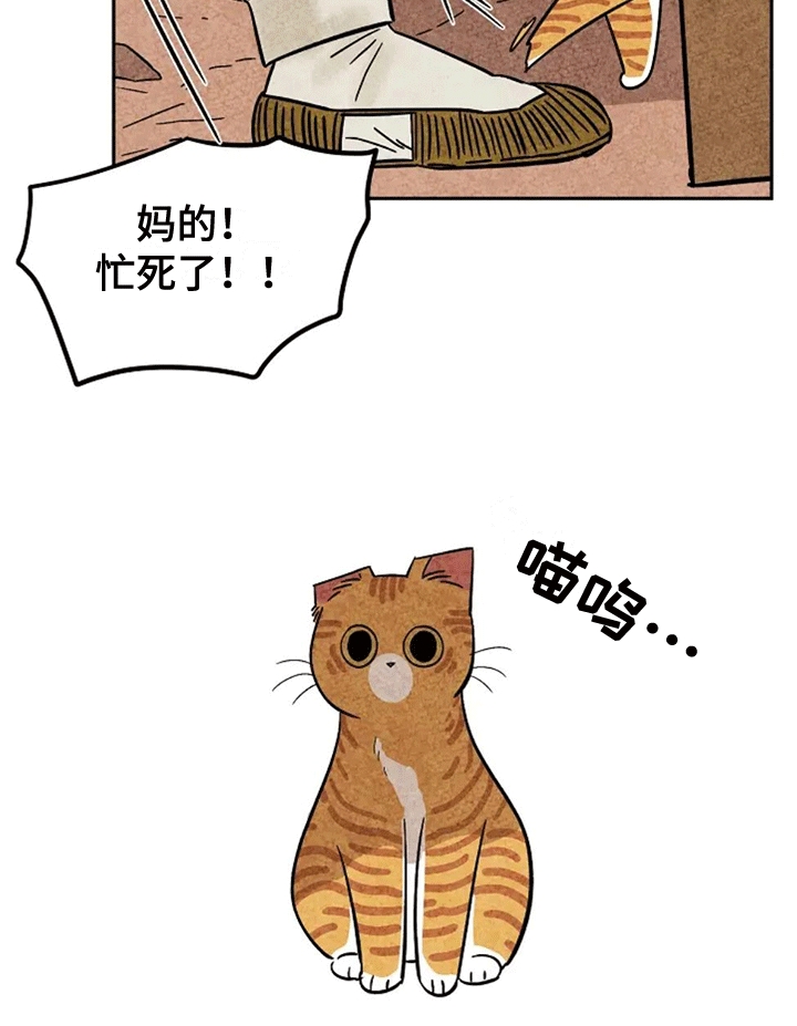 第61章：大橘0