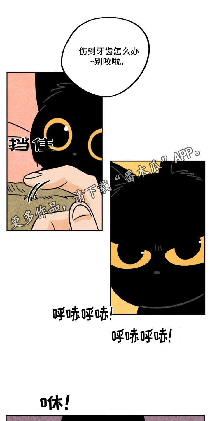 第91章：掉牙0