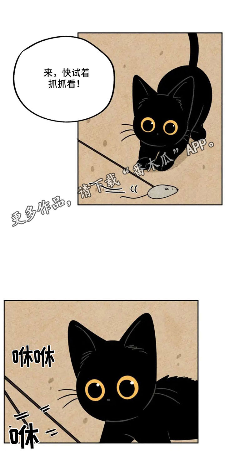 第87章：抵达0