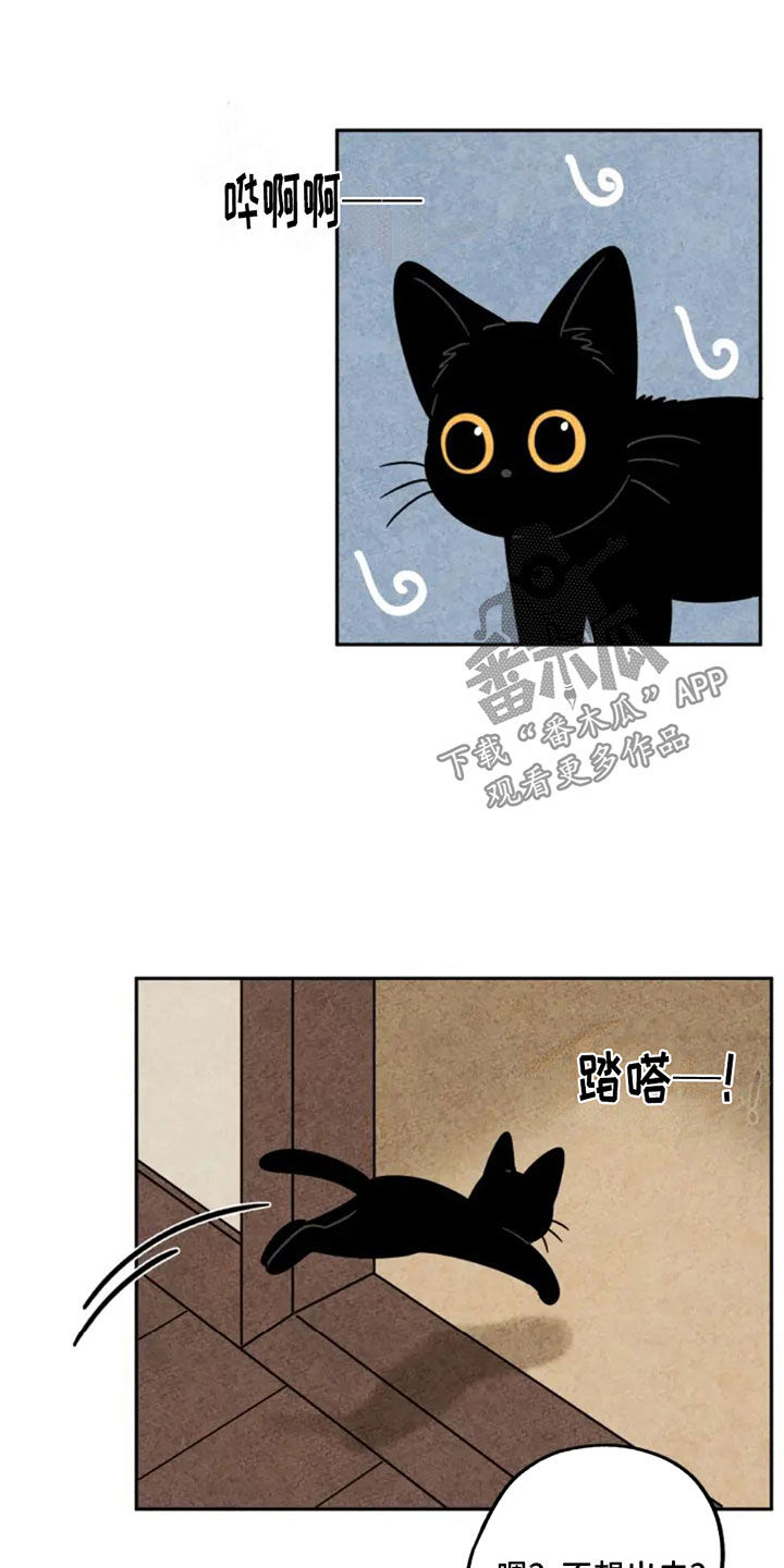 第84章：集市3