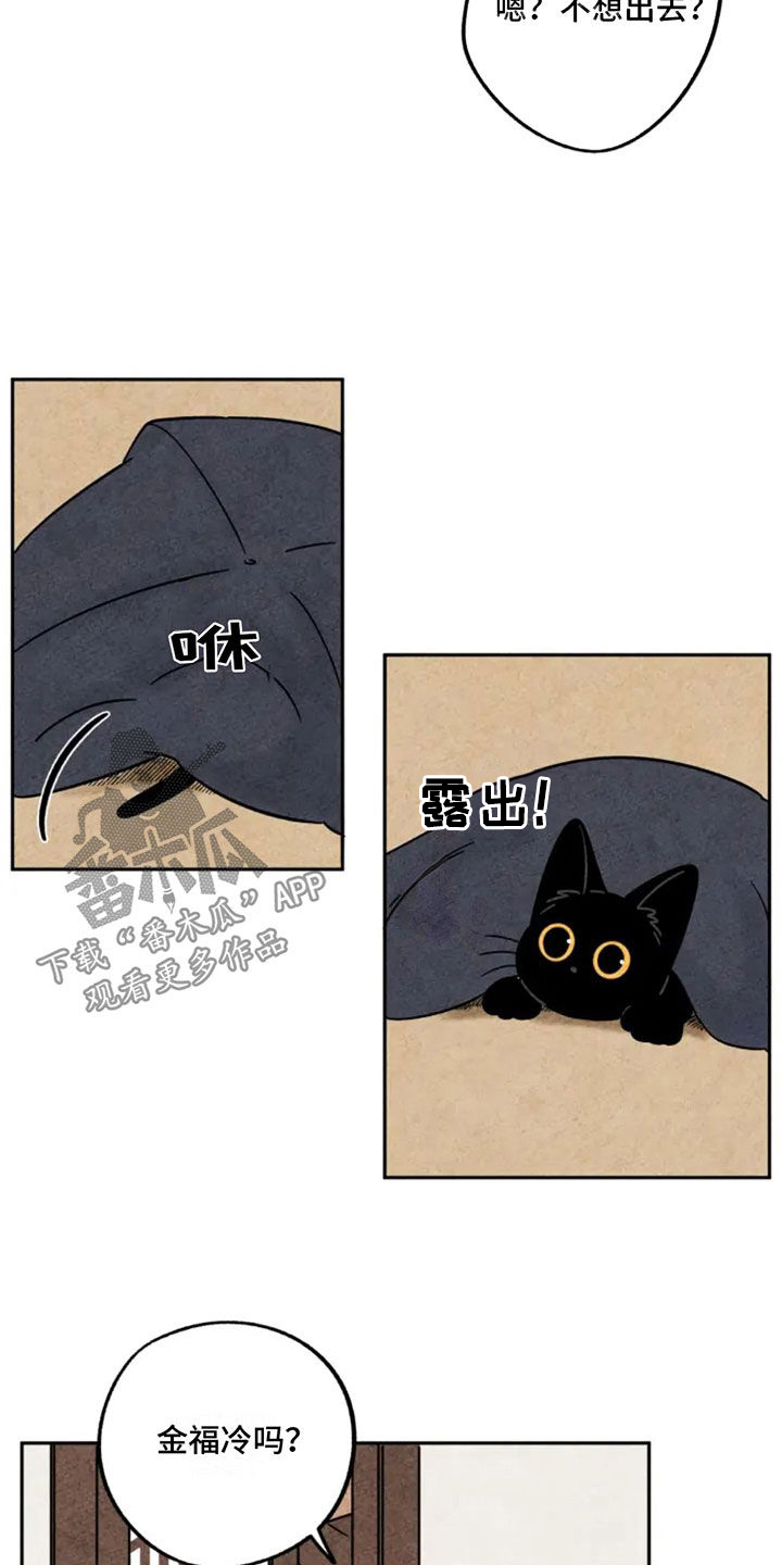 第84章：集市4