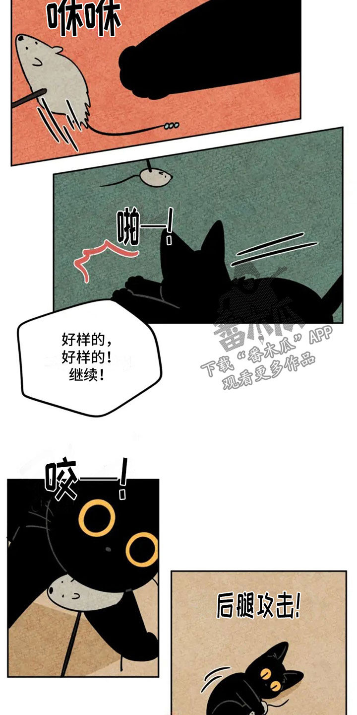 第87章：抵达2