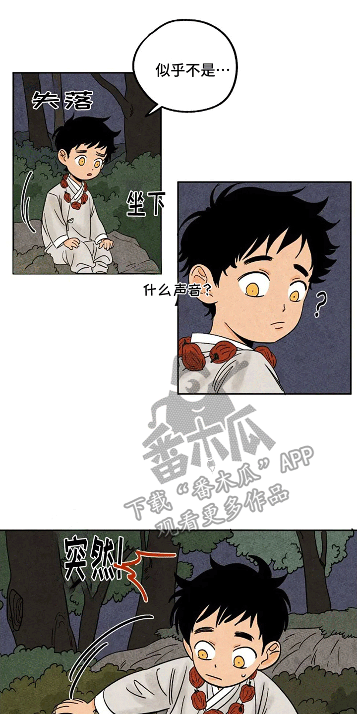 第66章：偷柿饼4