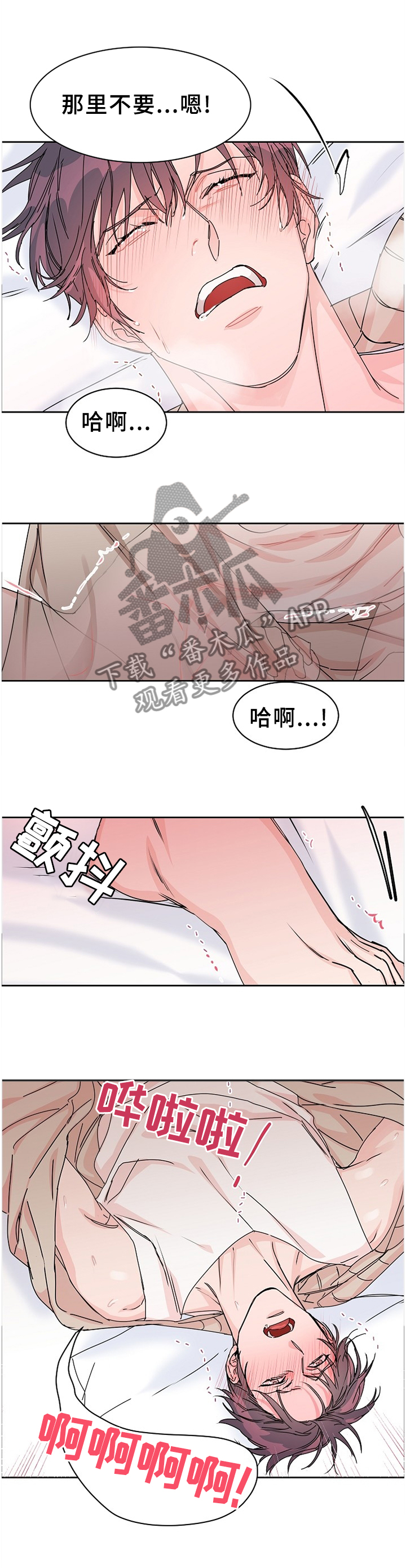 第75章：【第二季】所有的爱1