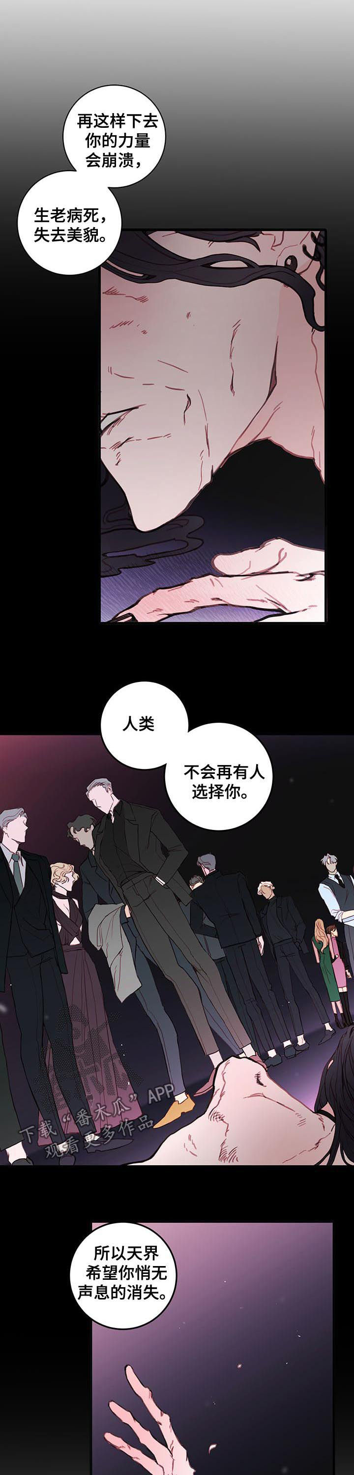 第53章：谎言2
