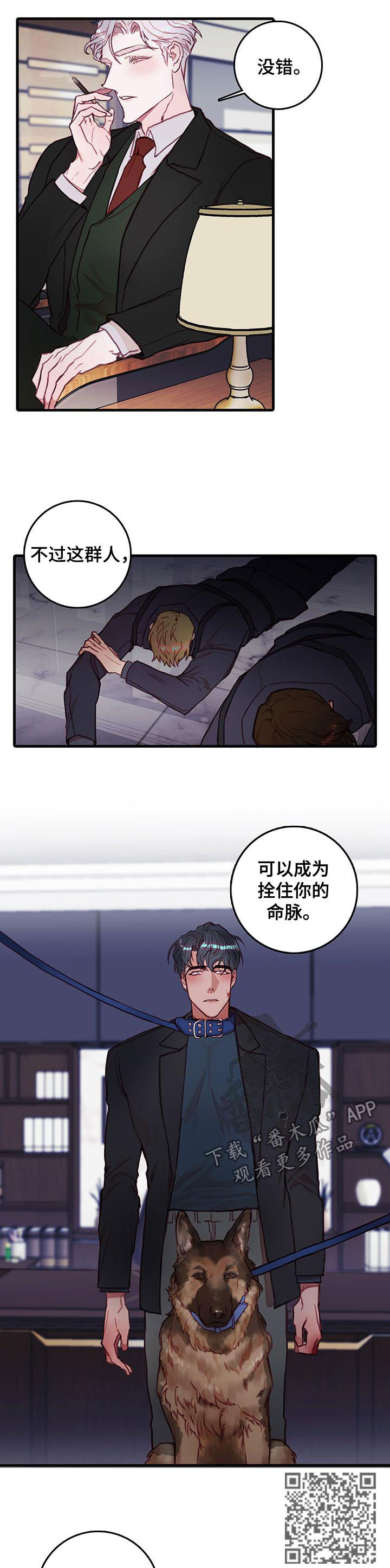 第44章：为什么4