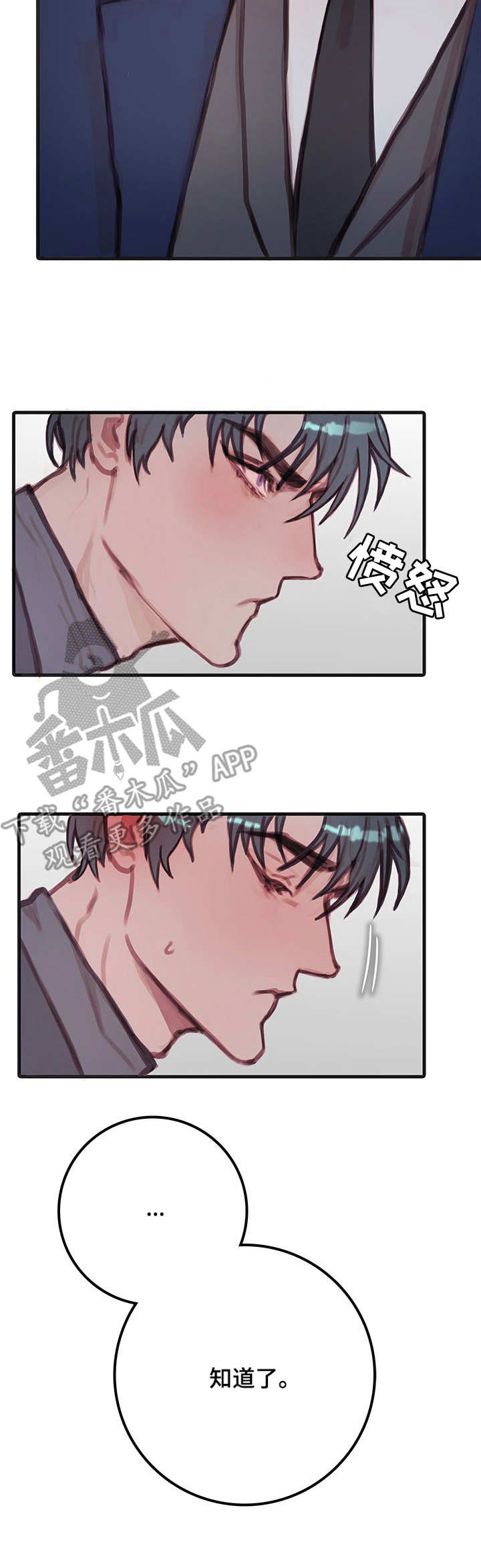 第12章：宠物2