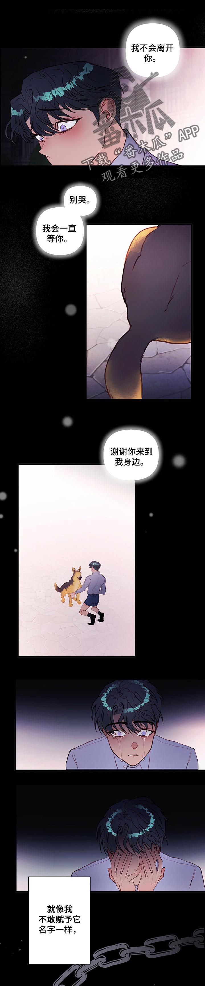第66章：疯的人是我0