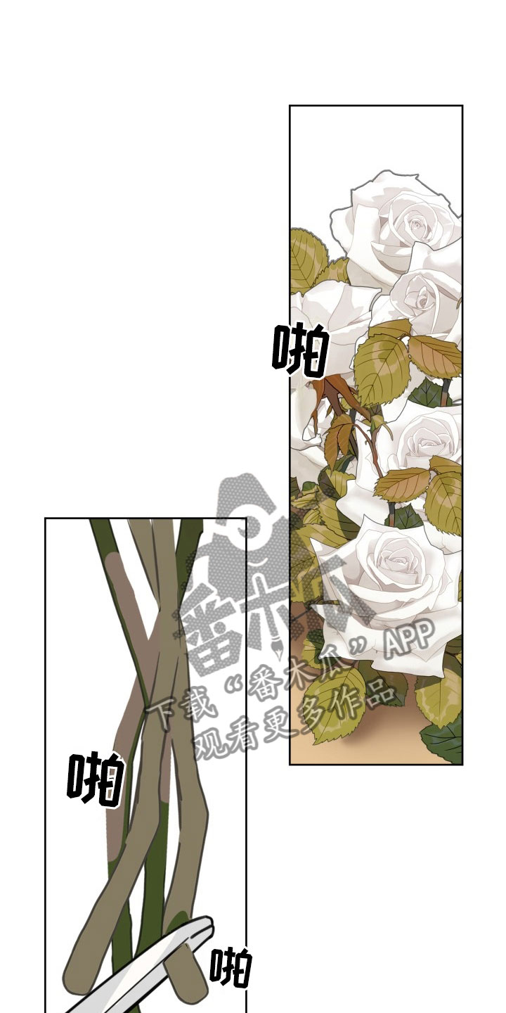 第16章：过热：暗潮涌动0