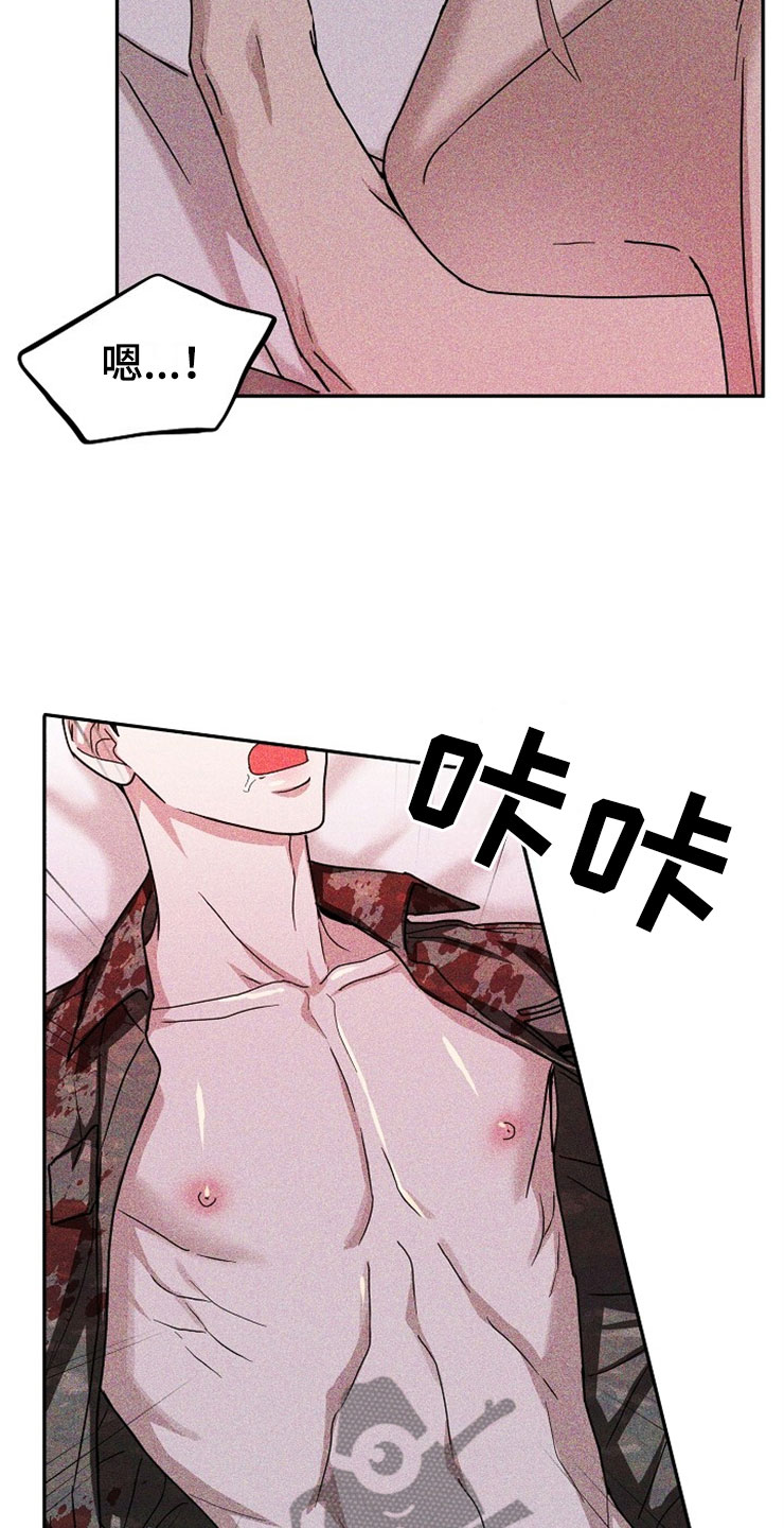 第24章：在下雨天：抗体3