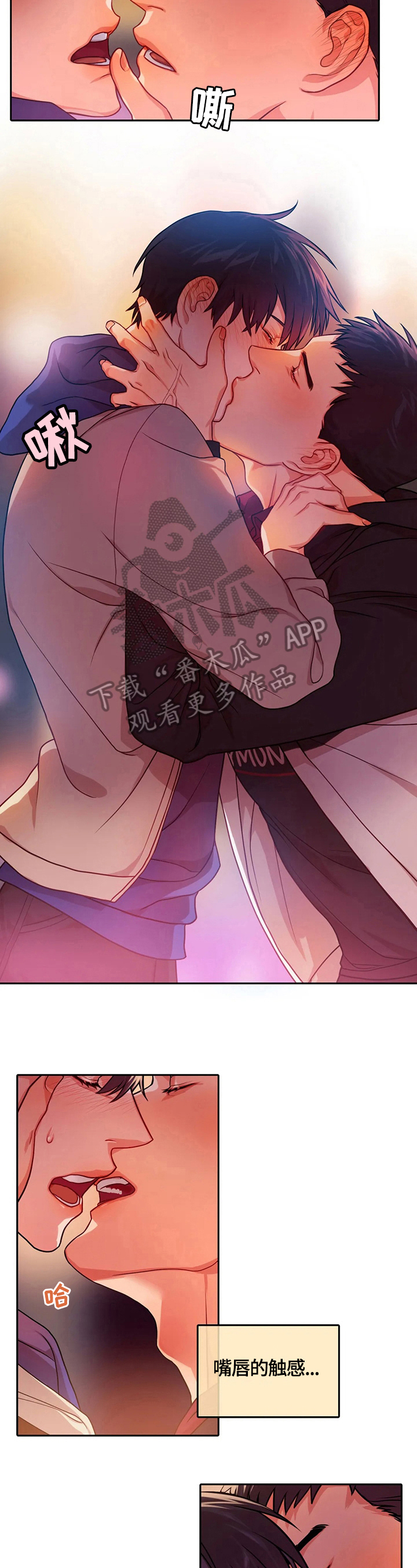 第19章：做报告1