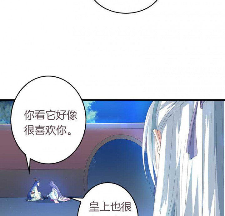 第22章：刀下留狗1