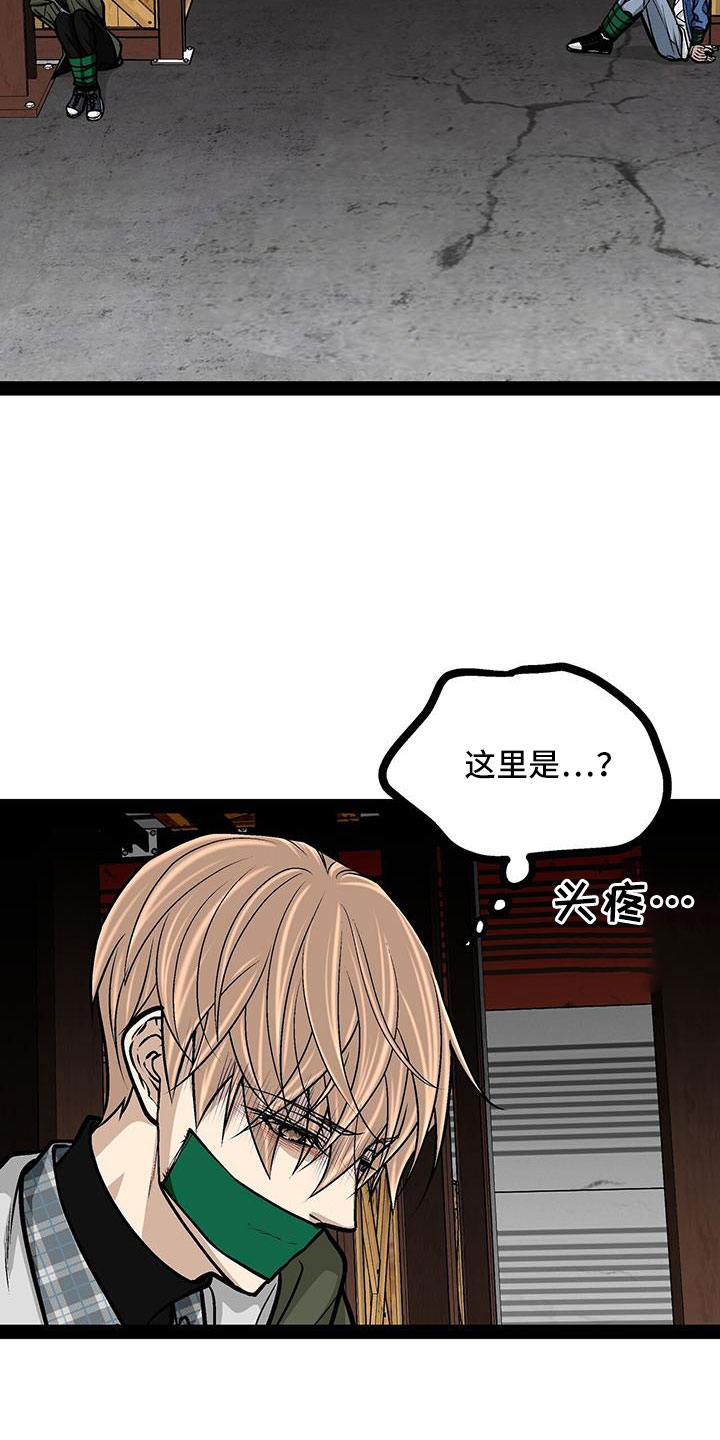 第80章：这么没礼貌3