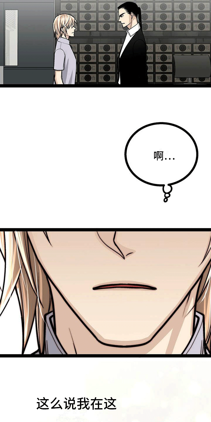 第13章：有些奇怪4