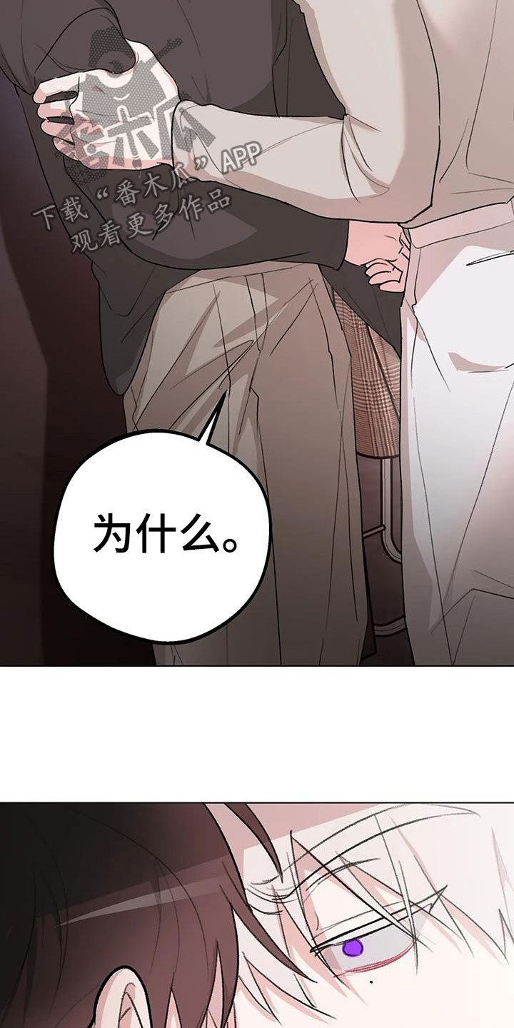 第32章：又见面了3