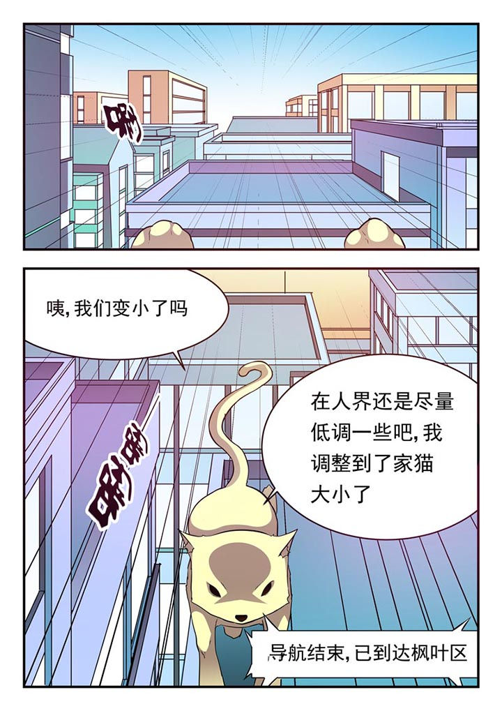 第23章：0