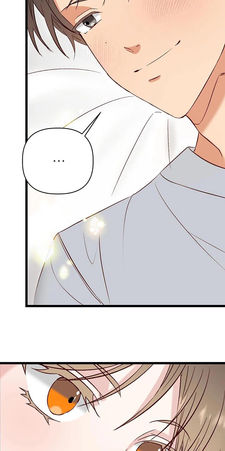 第51章：怎么做4