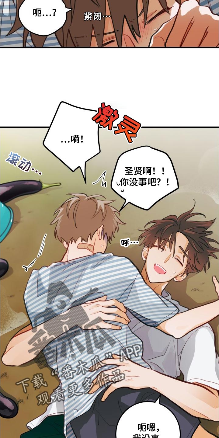 第29章：送茄子1