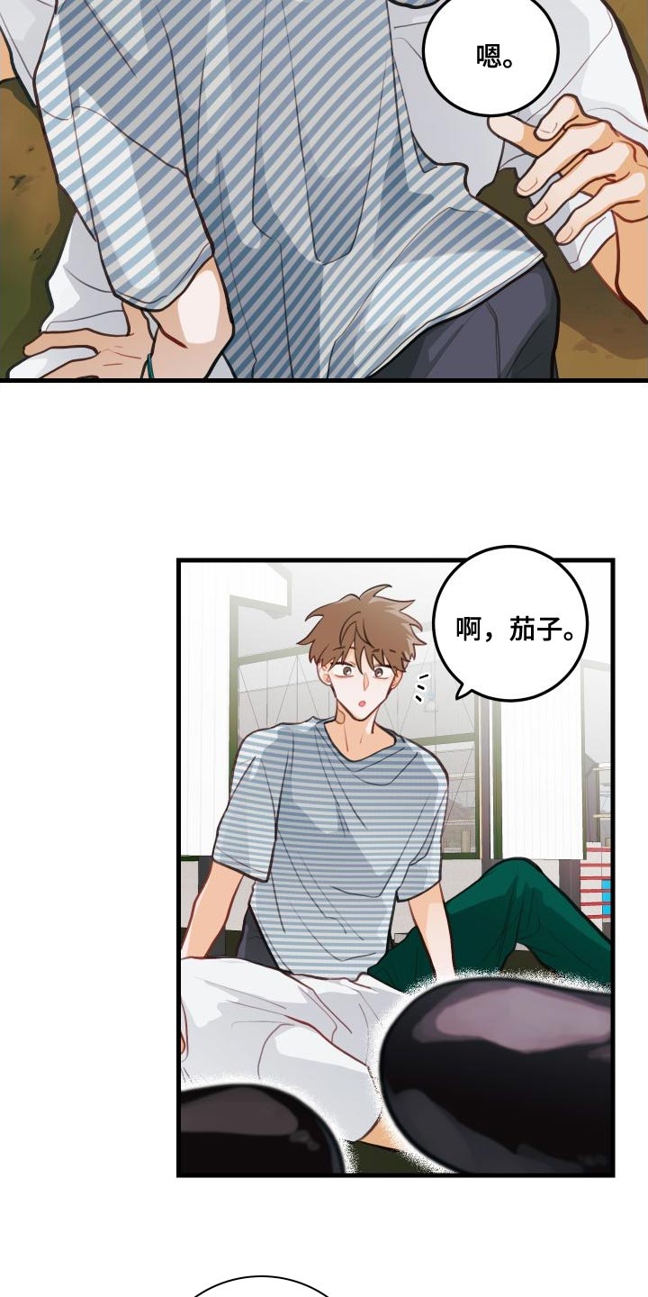 第29章：送茄子3