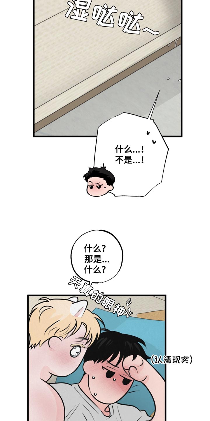第17章：再来一次1
