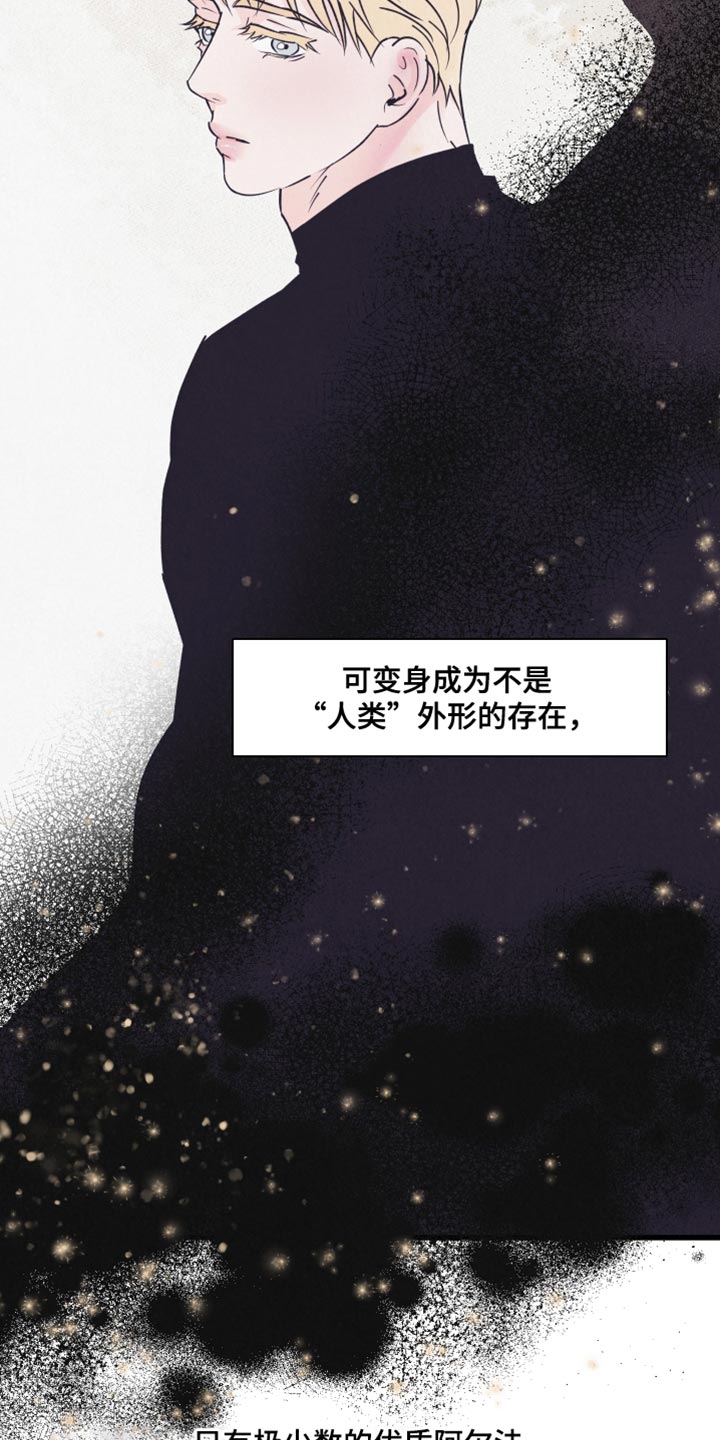 第15章：动物形状3