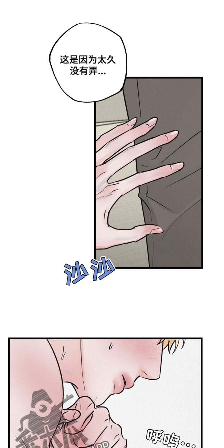 第15章：动物形状0