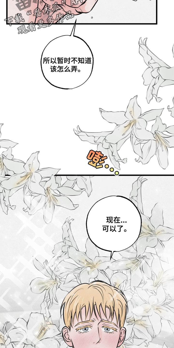 第15章：动物形状1