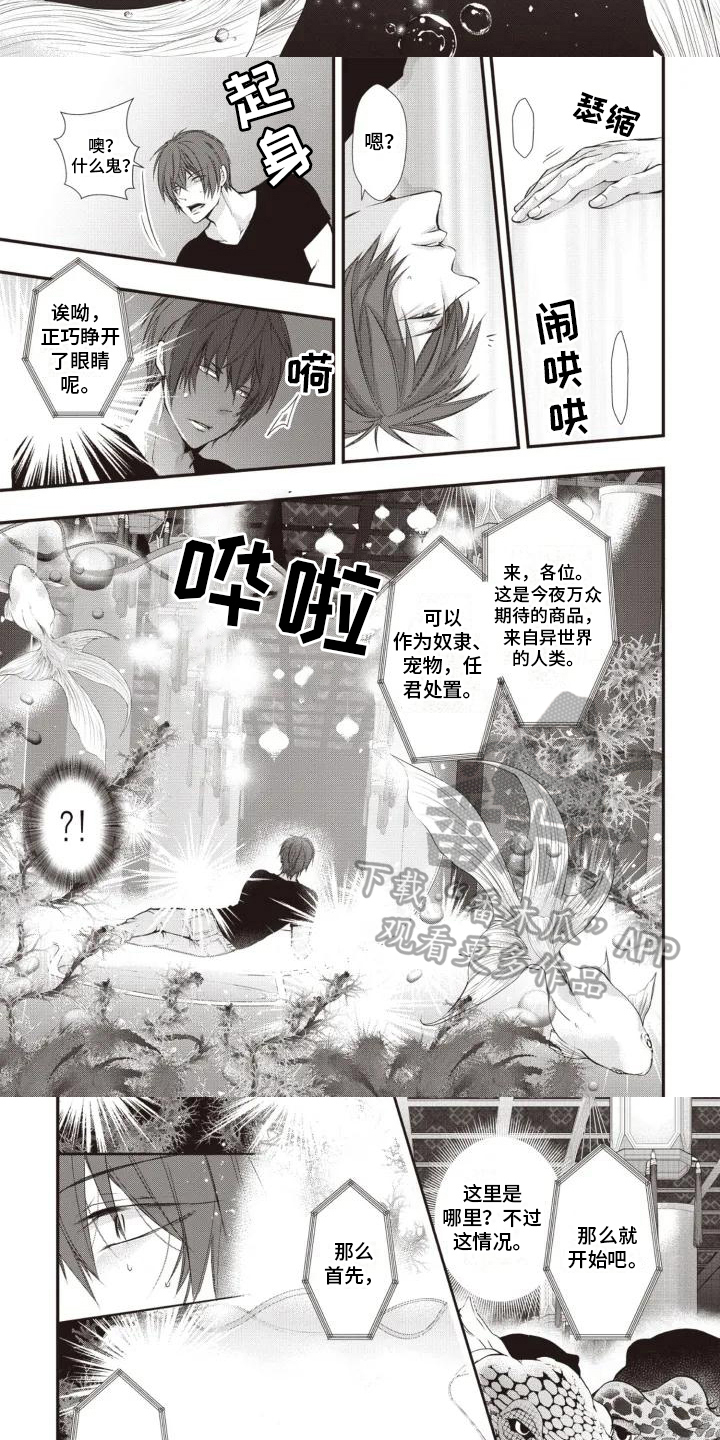 第4章：拍卖场4