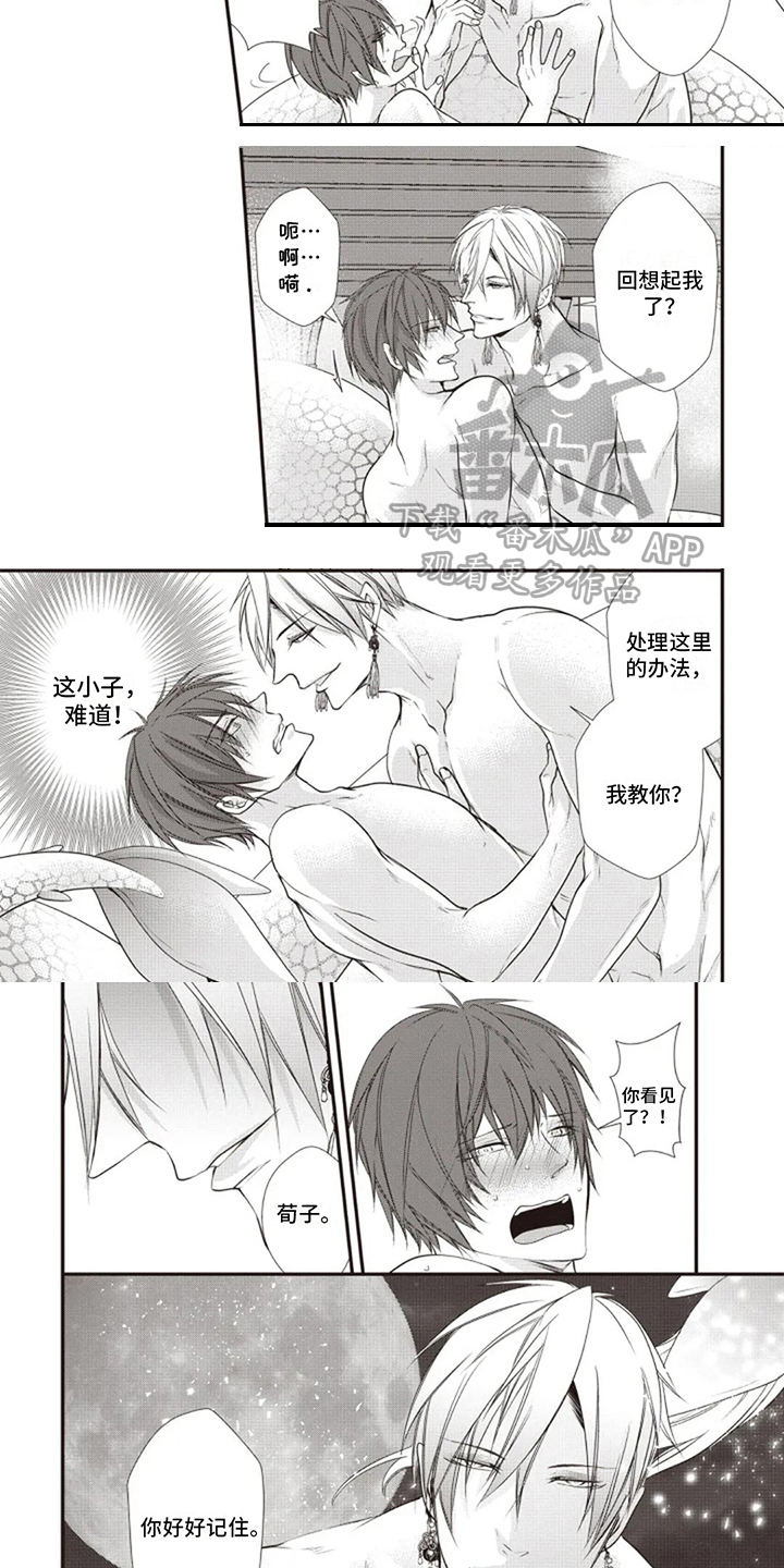 第20章：我教你4