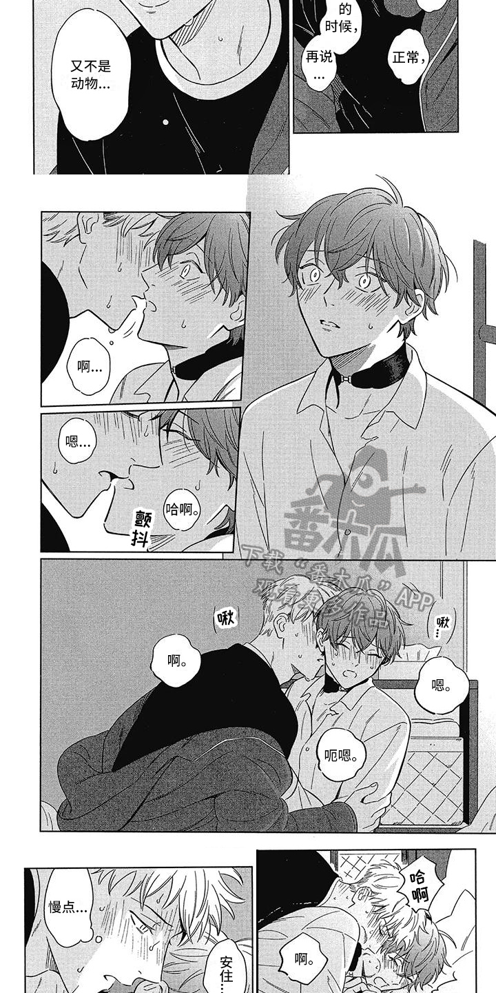 第9章：不同的感觉4