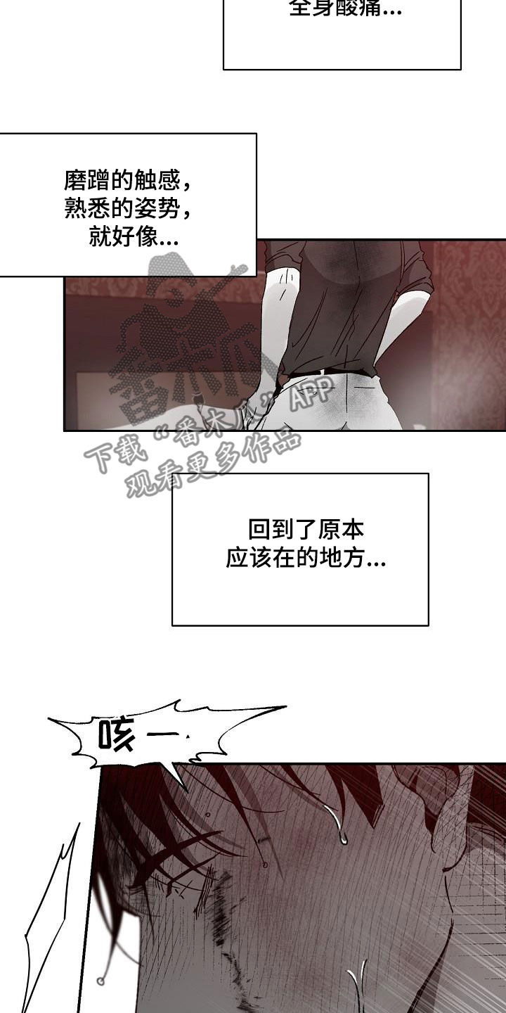 第40章：字面意思3