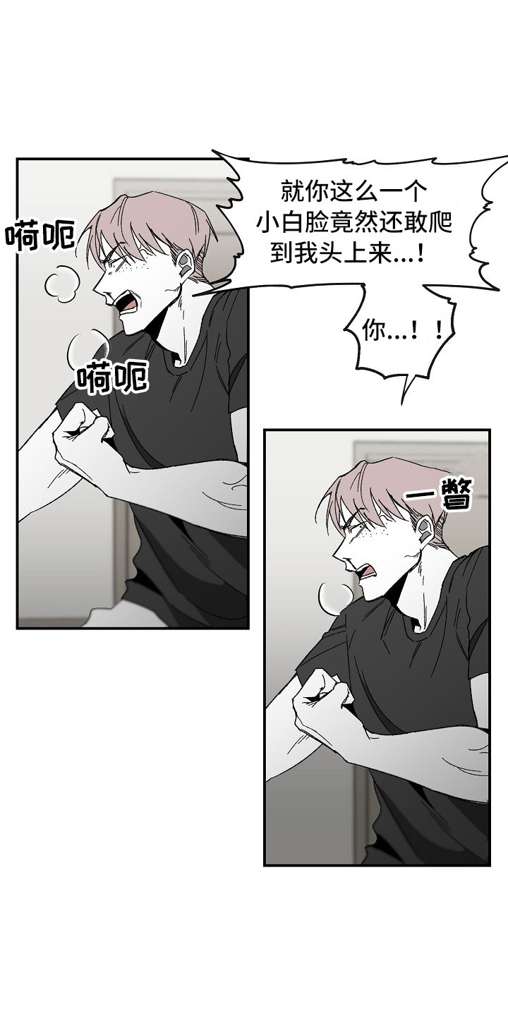 第2章：漂亮的新人4