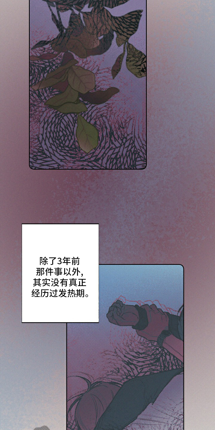 第25章：见一面吧2