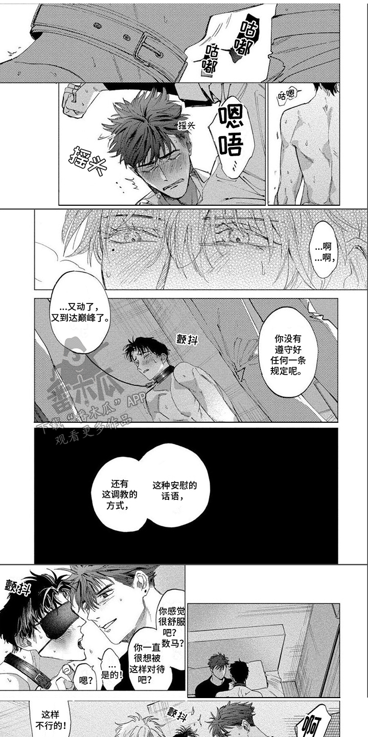 第25章：满足愿望0