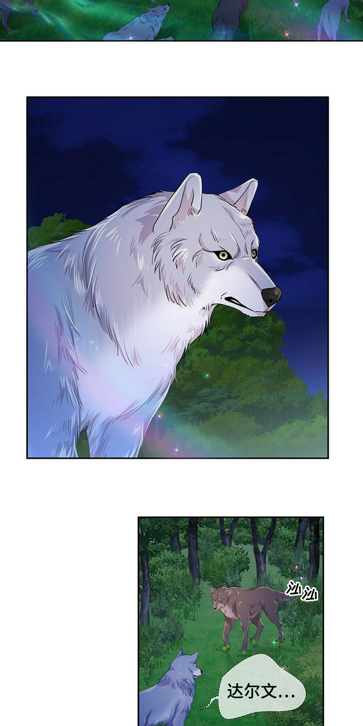 第139章：【第二季】质问1